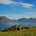 DSC_0322.JPG, Smedvik - Lofoten, Travel 2008