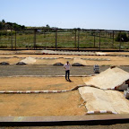 circuito palos 020.jpg