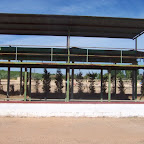 circuito palos 029.jpg