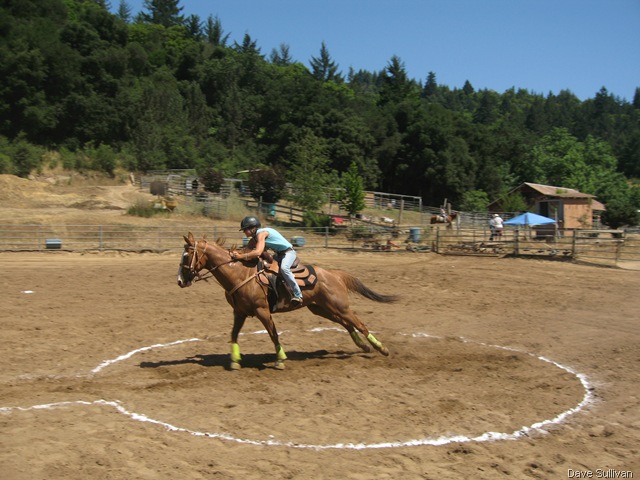 [26-27 Jun Horse Show Eddy Ranch 248[1].jpg]