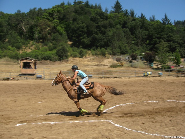 [26-27 Jun Horse Show Eddy Ranch 249[1].jpg]