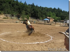 26-27 Jun Horse Show Eddy Ranch 261