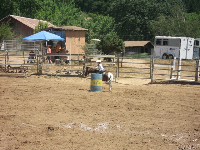 [26-27 Jun Horse Show Eddy Ranch 284[1].jpg]