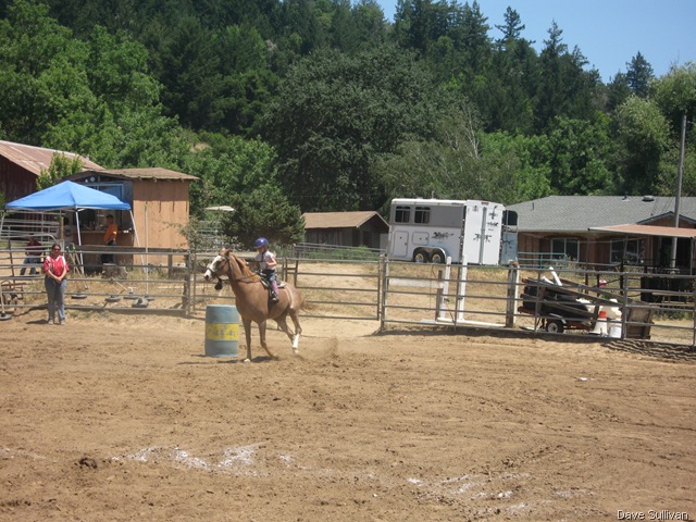 [26-27 Jun Horse Show Eddy Ranch 292[1].jpg]