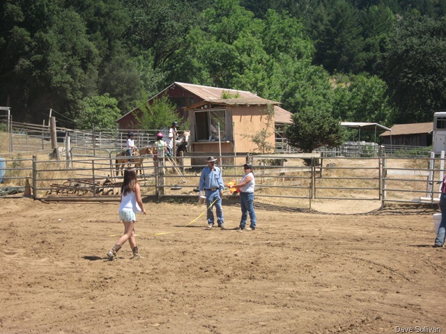 [26-27 Jun Horse Show Eddy Ranch 180[2].jpg]