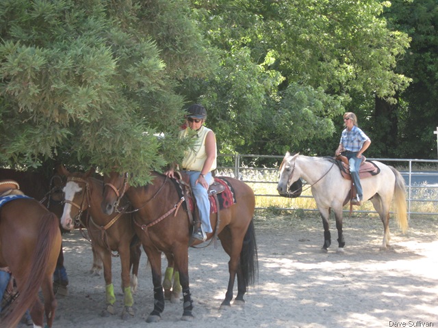 [26-27 Jun Horse Show Eddy Ranch 189[2].jpg]