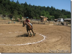 26-27 Jun Horse Show Eddy Ranch 195