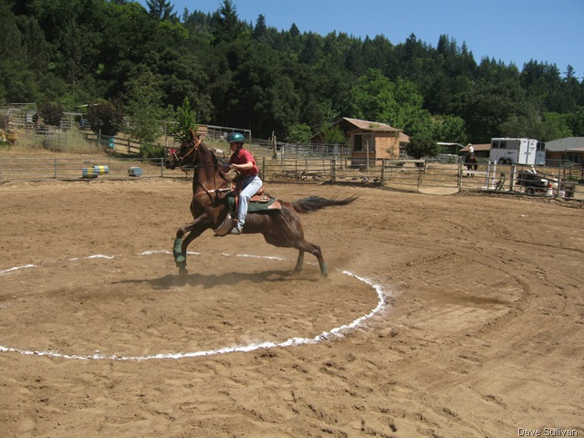 [26-27 Jun Horse Show Eddy Ranch 196[1].jpg]