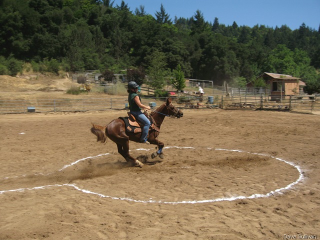 [26-27 Jun Horse Show Eddy Ranch 206[1].jpg]