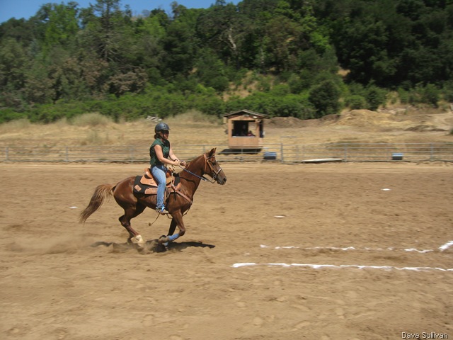 [26-27 Jun Horse Show Eddy Ranch 204[1].jpg]