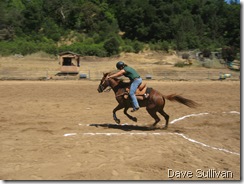 26-27 Jun Horse Show Eddy Ranch 211