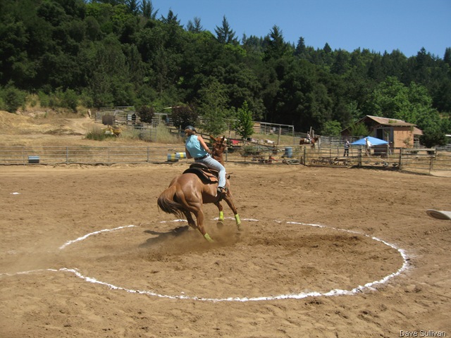 [26-27 Jun Horse Show Eddy Ranch 242[1].jpg]