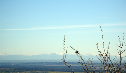 DSC03097.dbtHMzWgceTh.jpg