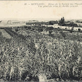 Metlaoui