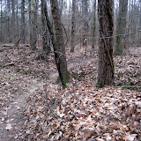IMG_1106.JPG