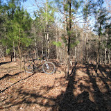 IMG_1130.JPG