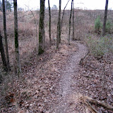 IMG_1113.JPG