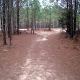 IMG_1119.JPG