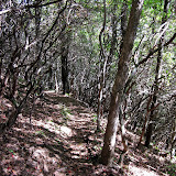 The "Long Green Tunnel" was brown at the moment.