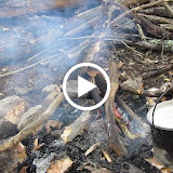 MVI_0082.MOV