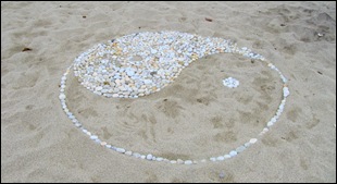 IMG_4951 IMG_4951