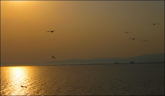 IMG_5564 IMG_5564