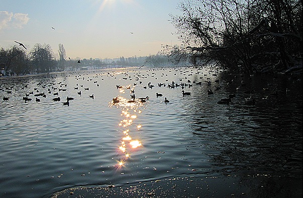 IMG_9816 IMG_9816