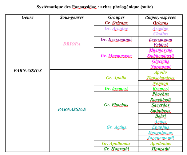 systematique_parnassidae2.jpg