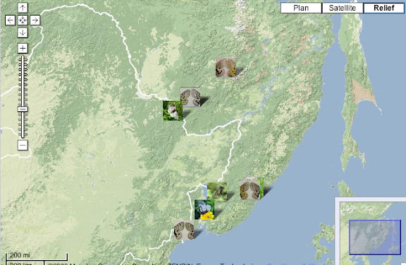 Localisation des photos : Petit Khingan (Chine), Birobidjan, Monts Boureinskij et Oussouri (Russie)