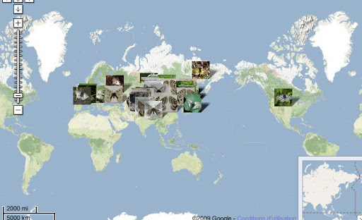 Localisation des photos dans les zones paléarctique et néarctique
