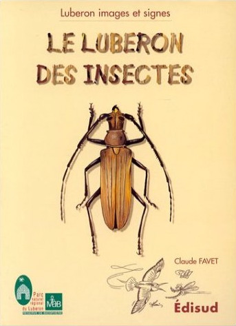Les Hautes-Courennes - luberon_des_insectes.jpg