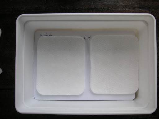 8. Les chasses sont séparées entre elles par des compresses larges Monoprix à bords arrondis 11 cm x 9 cm (épaisseur 0,5 cm)