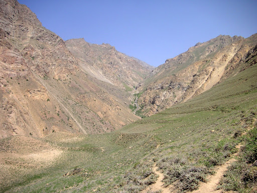 Vallée de Sost, au Sud de Khorog, 2900 m, station de Karanasa alpherakyi AVINOV, 1910, Zygaena (M) pamira SHELJUZHKO, 1919. 5 juillet 2008. Photo Jean-Marie Desse