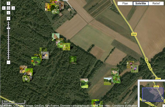 Localisation des photos "Lépidoptères de la Forêt de Dreux".