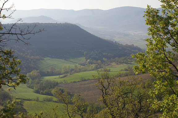 Les Hautes-Courennes en avril 2005. Au premier plan : champs de lavande ; au second : plateau de Coupon ; au troisième : vallée du Calavon. Au fond : le Grand Lubéron. Photo : J.-M. Gayman