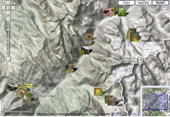 Rhopalocères de l'Ubaye - Localisation des photos : haute vallée de l'Ubaye