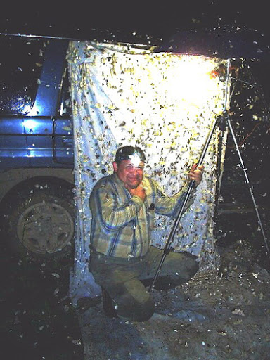 Chasse de nuit, Monts Livadyiskyi, Oussouri. Photo : Sergej Ivanov.