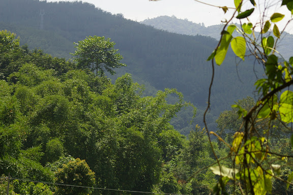 Vers la cascade de Mandian, Xichuangbanna (Yunnan), 25 août 2010. Photo : J.-M. Gayman