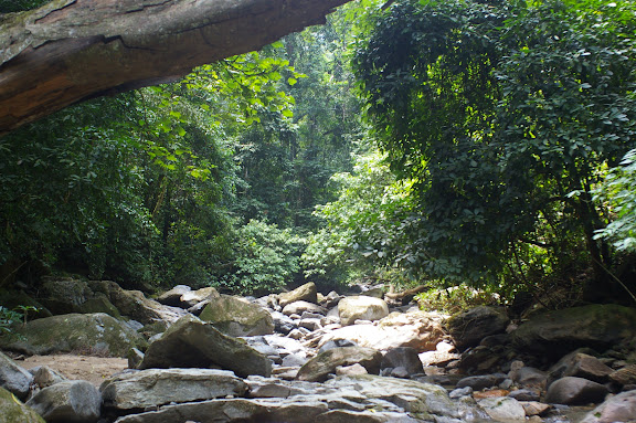 Vers la cascade de Mandian (800 m), Xichuangbanna (Yunnan), 25 août 2010. Photo : J.-M. Gayman