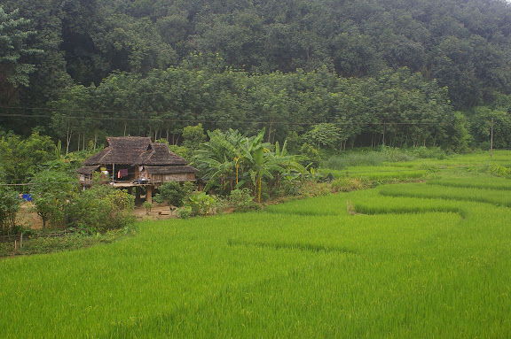 Maison thaï au sud de Mandian, Xichuangbanna (Yunnan), 25 août 2010. Photo : J.-M. Gayman