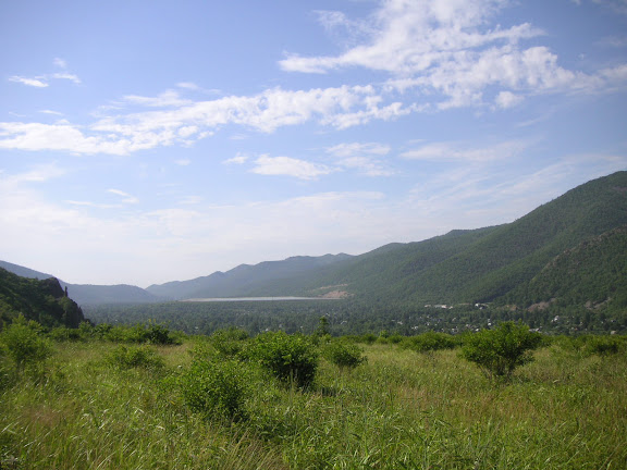 Rhopalocères de l'Oussouri (Primorye) - 5 km de Dal'negorsk vers Monomakhovo : biotope de Parnassius nomion, 26 juillet 2010. Photo : J. Michel