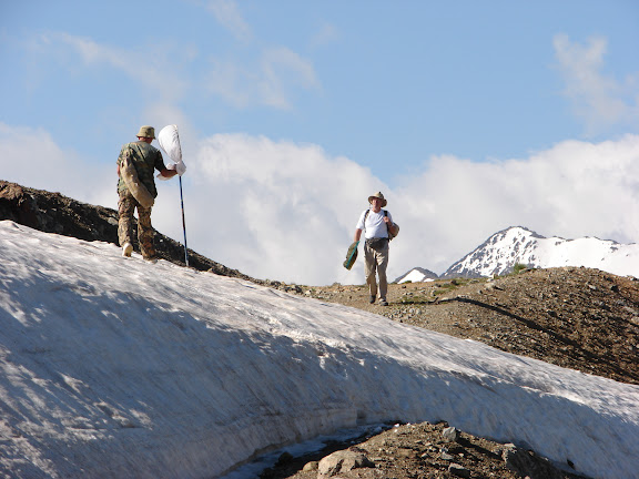 Alabel Pass, 3300 m (Kyrgyzistan), 28 juin 2006. Photo : E. Zinszner