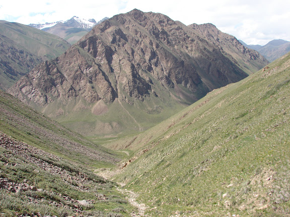 Au-dessus de la haute vallée de la rivière Ottuk au SE du col Chon Ashuu, Terskei Ala Too, Kirghizstan, 7 juillet 2006. Photo : E. Zinszner