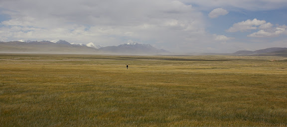 Sur le syrt de Kara Say : vue vers l'Est et le Terskey Alatau, 11 juillet 2006. Photo : J.-M. Gayman