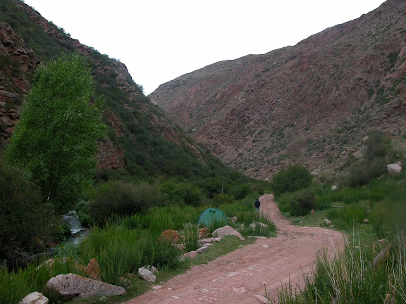 Kadzi Say (2200 m) : l'emplacement du camp, 13 juillet 2008. Photo : B. Lalanne-Cassou