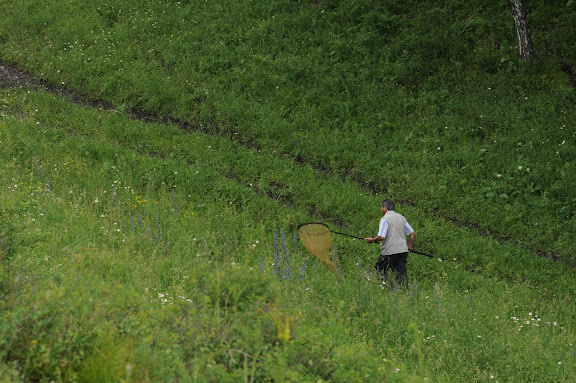 Dans la vallée d'Agades (Altaï du Nord), 3 juillet 2010. Photo : B. Lalanne-Cassou