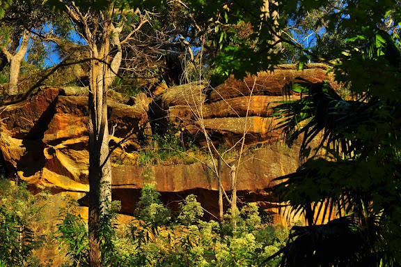 La partie haute du jardin où la falaise de calcaire jouxte le Parc National. Umina Beach (New South Wales, Australie), 22 octobre 2010. Photo : Barbara Kedzierski
