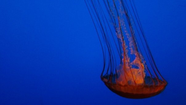 [5416_146988417215_651662215_3476032_8217454_n[8].jpg]
