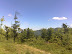 20100605133.jpg