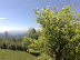 20100605135.jpg